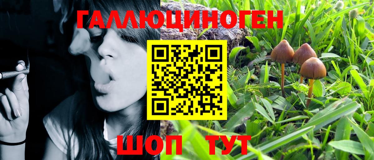 Галлюциногенные грибы Psilocybine cubensis  Вход с VPN  Гай 
