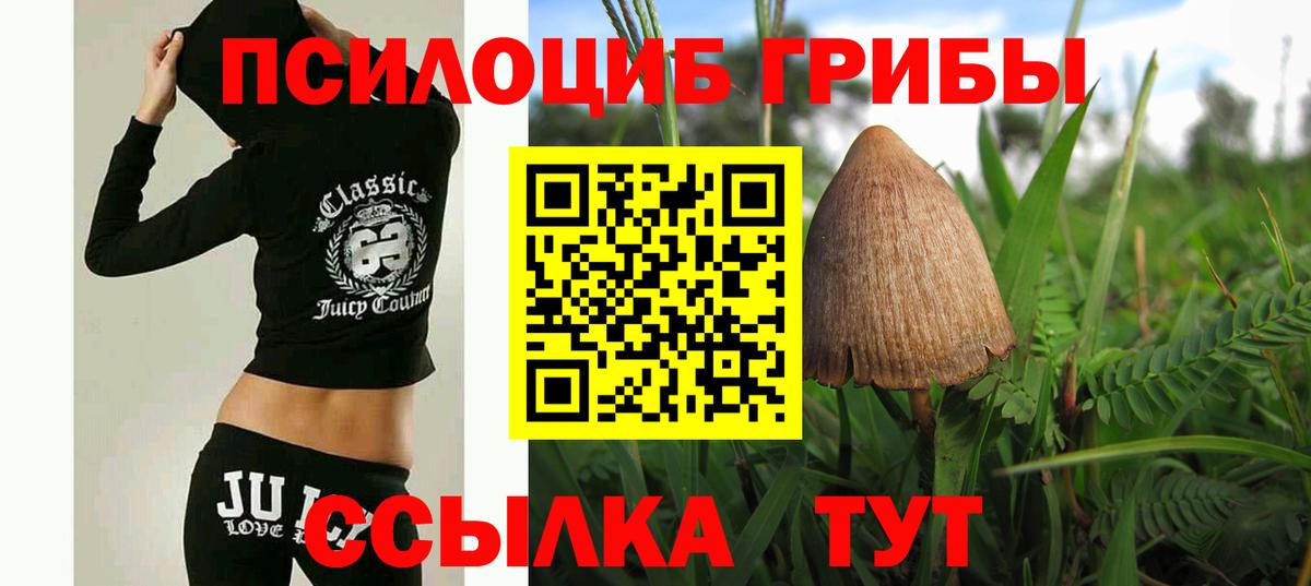 Псилоцибиновые грибы мухоморы Гай
