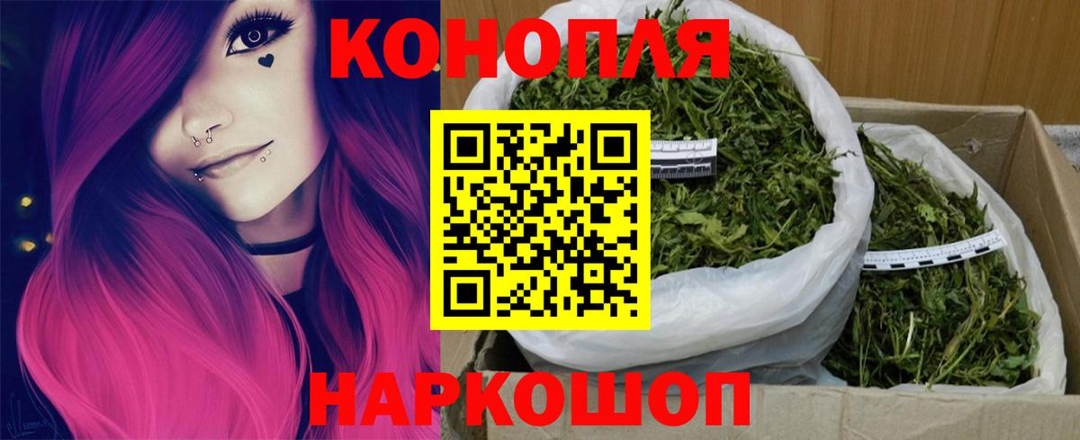 Бошки Шишки OG Kush  Шишки марихуана планчик  Вход с VPN  Гай  МАРИХУАНА ГИДРОПОН  Марихуана ГИДРОПОН 